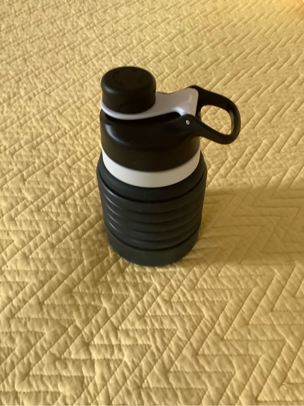 Collapsible Black and White Water Bottle